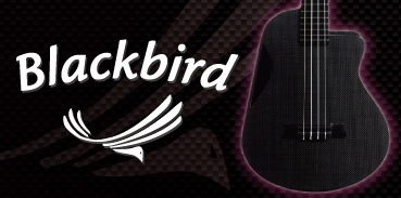 Black Bird Guitars : U.S.A.