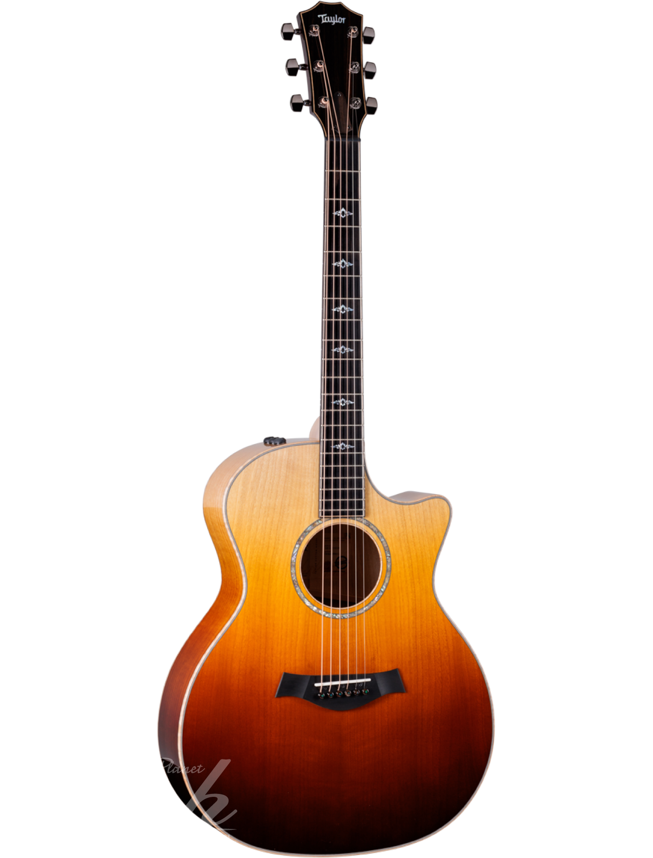 Taylor Guitars,テイラーギター