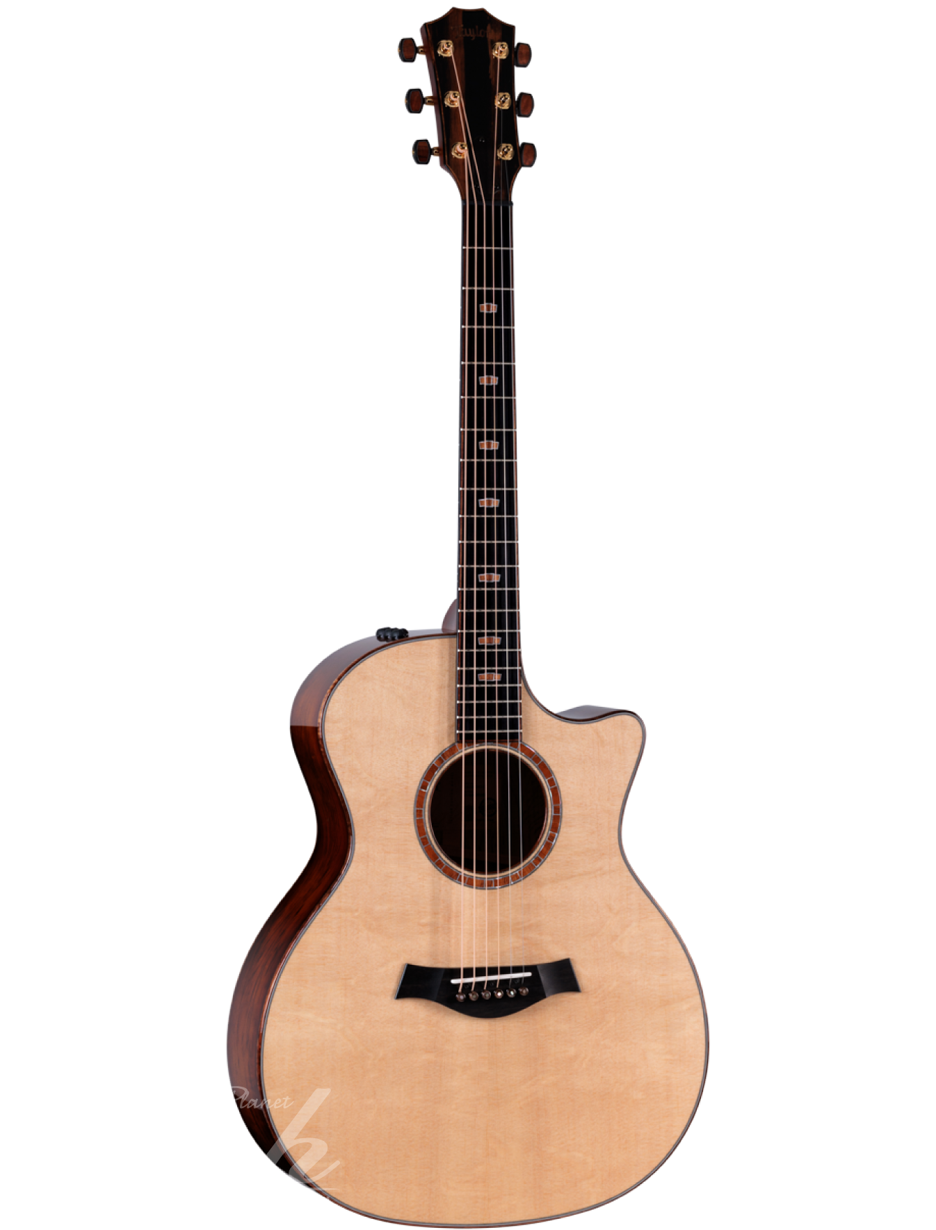 Taylor Guitars,テイラーギター