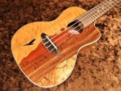 Vista Eagle Concert Uke w/Preamp 【コンサート/カッタウェイ】【ヴィスタ・イーグル】【ピックアップ搭載】【18回金利0%対象】【送料込】