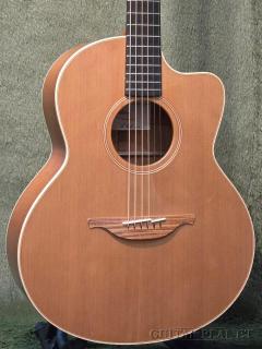 ~The Original Series~ F-22c AM/RC #24805 (Red Ceda