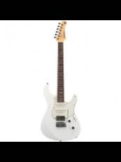 Pacifica Standard Plus PACS+12 SWH(シェルホワイト）【オンラインストア限定】