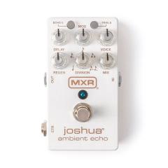 【数量限定特価】M309 Joshua Ambient Echo《エコー》【Webショップ限定】