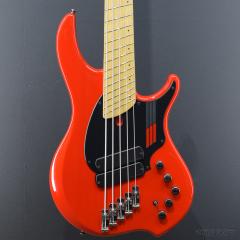 NG-2 5-string Adam Nolly Getgood Signature【4.13kg】【2017/USED】【金利0%対象】