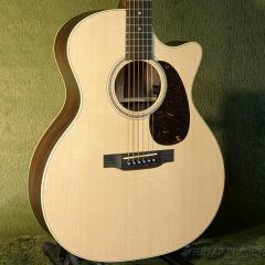 【実機動画あり】GPC-16E-01 Rosewood  w/Fishman Matrix VT E