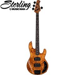 RAY34HH AMBER【オンラインストア限定】