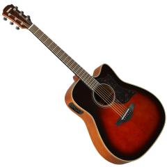 A1M -Tobacco Brown Sunburst-【オンラインストア限定】《1-2日で発送》