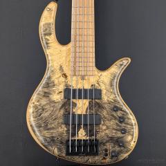 Gold Series E-volution 5st -Buckeye Burl Top-【2023/USED】【3.43kg】【金利0%対象】【送料当社負担】
