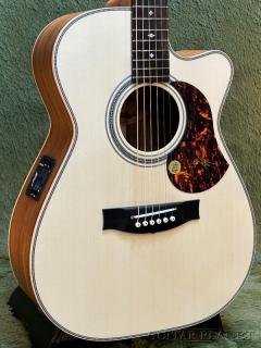 EBG808C Artist Engelmann Spruce #31460 【バリ虎ネック】【48回迄金利0%対象】【送料当社負担】