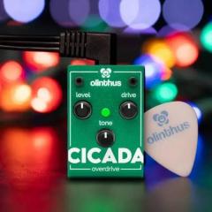 CICADA《オーバードライブ》【オンラインストア限定】《1-2日で発送予定》