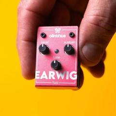 EARWIG《ファズ》【オンラインストア限定】