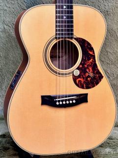 【横浜大楽器祭 特別販売品】EBG808 Tommy Emmanuel  #31249【アウトレット大特価】【48回迄金利0%対象】【送料当社負担】