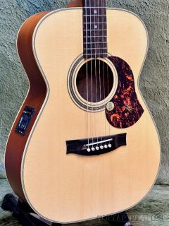 【横浜大楽器祭 特別販売品】EBG808 Tommy Emmanuel  #31489【アウトレット大特価】【48回迄金利0%対象】【送料当社負担】