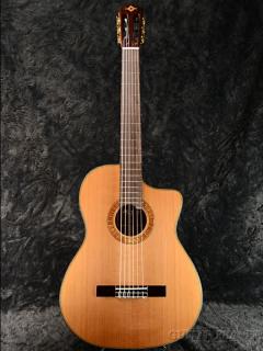 MP-12MH 杉/マホガニー【オンラインストア限定】《1～2日で発送予定!!》