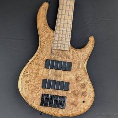535-24 -Burl Ash Top/Ash Back-【2026 NAMM Model】【4.23kg】【金利0%対象】【送料当社負担】