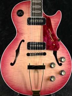 【ギタプラ大歳末セール2025】STORK-TOCHI PP-WSE’23/E-RBR-B-【金利0%!!】