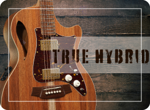 Cole Clark, True Hybrid,コールクラーク