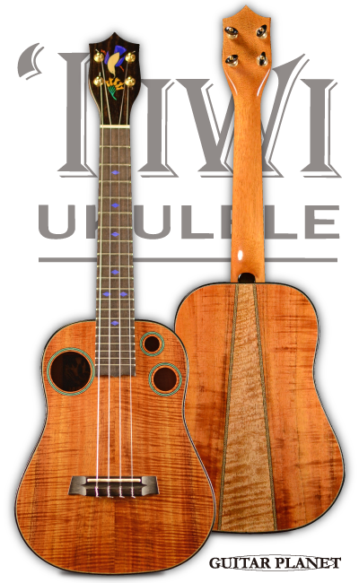 I Iwi ギタープラネット 御茶ノ水 楽器の専門店 通信販売 楽器買取