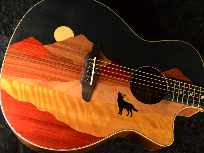 Luna Guitars - Vista Series | ギタープラネット | 御茶ノ水 楽器の