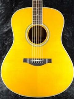 TA-Series LL-TA ~Vintage Tint~【トランスアコースティック】【Webショップ限定】