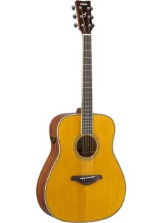TA-Series FG-TA ~Vintage Tint~【トランスアコースティック】【Webショップ限定】
