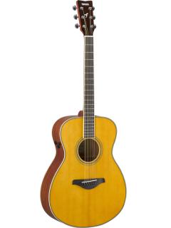 TA-Series FS-TA ~Vintage Tint~【トランスアコースティック】【Webショップ限定】