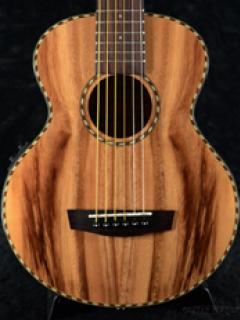 Universe Series HT-BEETLE【Webショップ限定】