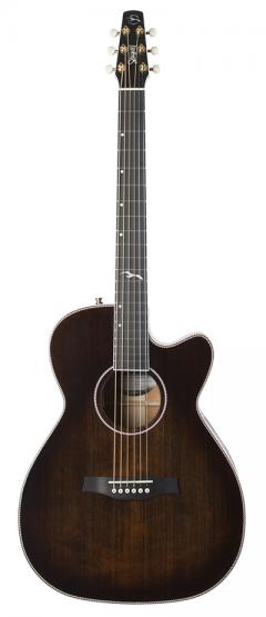 Artist Mosaic Concert Hall CW -Bourbon Burst- GT Anthem EQ【Webショップ限定】