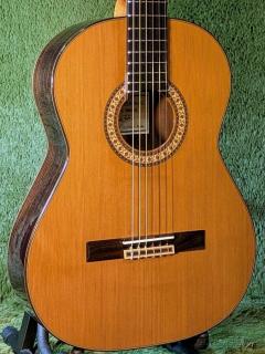 アントニオ・サンチェス　Profesor-4/64Cedar　杉/ローズウッド　【640mm】【総単板】