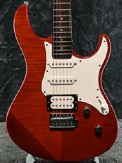 PACIFICA 212VFM -CMB(キャラメルブラウン)-【オンラインストア限定】