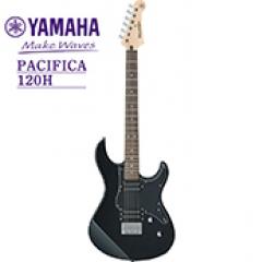 PACIFICA 120H -BL(ブラック)-【Webショップ限定】