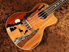 Vista Deer Concert Uke w/Preamp 【コンサート/カッタウェイ】【ヴィスタ・ディアー】【ピックアップ搭載】【24回金利0%対象】【送料込】