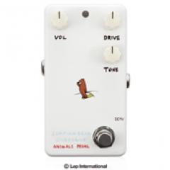 Surfing Bear Overdrive《オーバードライブ》【Webショップ限定】