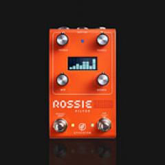 ROSSIE FILTER【エンベロープフィルター】【Webショップ限定】