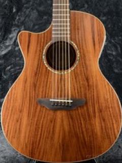 High Tide Koa Grand Concert Lefty A/E (HT KOA GCE L)【webショップ限定】