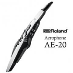 Aerophone AE-20 │ WIND INSTRUMENTS