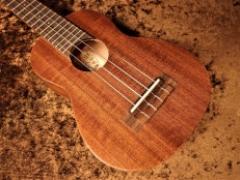 Hawaiian Dream Series Mahogany Ⅰ (aNN-U1) 【U Series】【ソプラノ/マホガニー】【送料込】