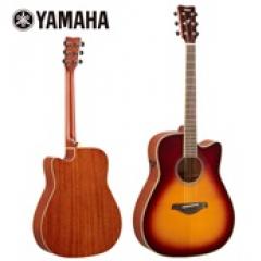 FGC-TA - Brown Sunburst -【トランスアコースティック】【Webショップ限定】