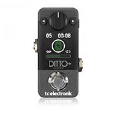 DITTO+ LOOPER【ルーパー】【Webショップ限定】