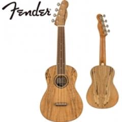 ZUMA EXOTIC CONCERT UKULELE -Natural Spalted Maple- │ コンサートウクレレ【2022年6月29日発売予定】