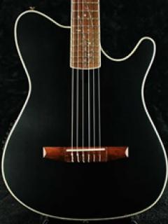 Tim Henson (Polyphia) Signature TOD10N-TKF《エレガット》【WEBショップ限定】