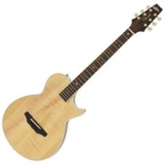 APE-100 N (Natural) 【Webショップ限定】