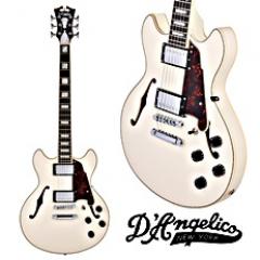 Premier Mini DC -Champagne-【Webショップ限定】