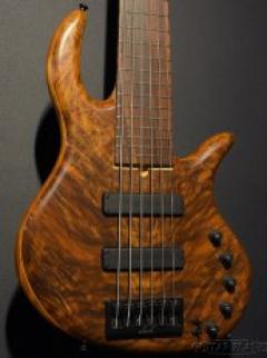 Gold Series E-volution 6 -34”Scale/Crotched Walnut Top-【4.58kg】【金利0%対象】【送料当社負担】