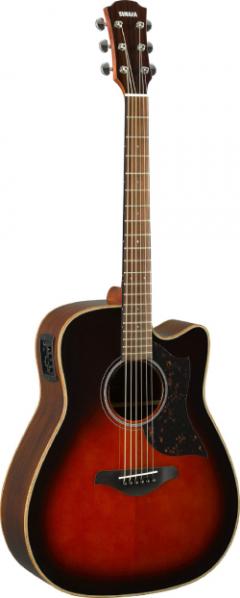 A1R タバコブラウンサンバースト【Webショップ限定】