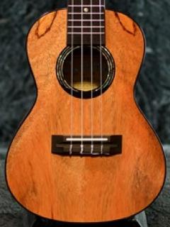 CM68P《マンゴー・コンサート》【L.R.Baggs FIVE-Oピックアップ搭載!!】【Webショップ限定】