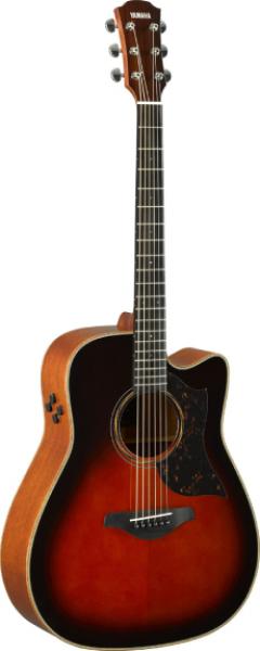 A3M ARE タバコブラウンサンバースト【Webショップ限定】