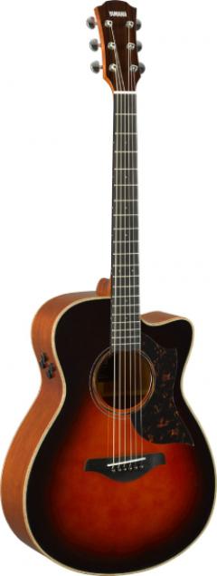 AC3M ARE -TBS-【Webショップ限定】