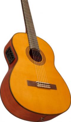 CGX122MS【Webショップ限定】