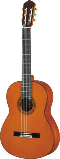GC12C【Webショップ限定】